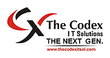 The Codex It Solutions Pvt Ltd