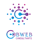 Cobweb Consultants