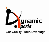 Dynamic Experts Solution