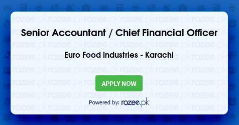 Senior Accountant / Chief Financial Officer Job, Karachi ...