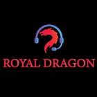 Royal Dragon Technoligies Private Limited