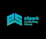 eSpark Consulting Group