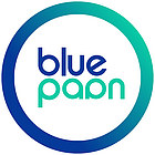 Blue Paan Media Agency