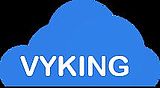 Vyking Consulting