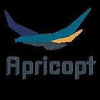 Appricopt IT Solutions