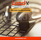 Lead X LLC