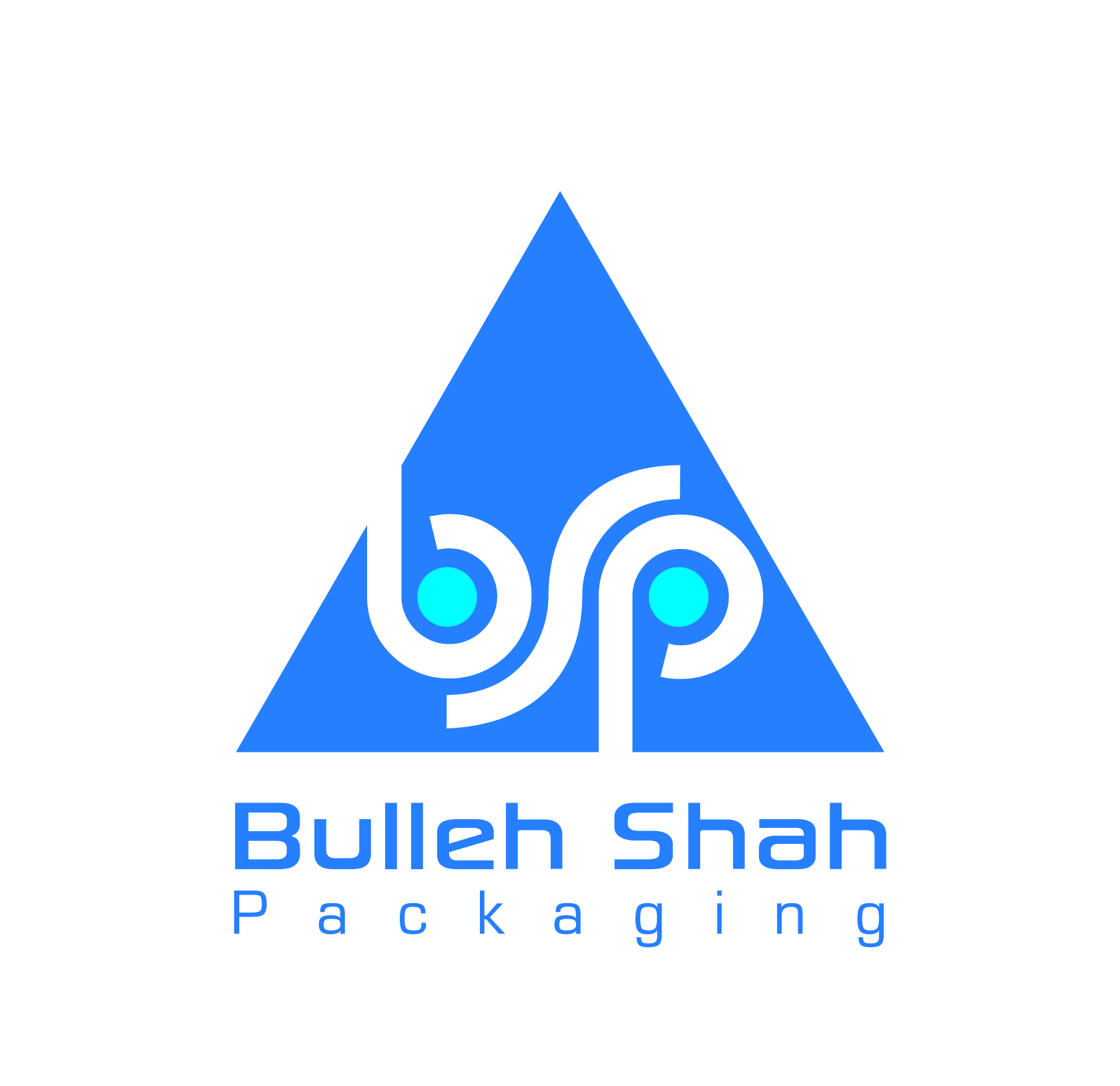 Swot Analysis Of Bulleh Shah Packaging